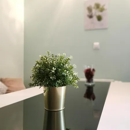 Maglonia * Вроцлав